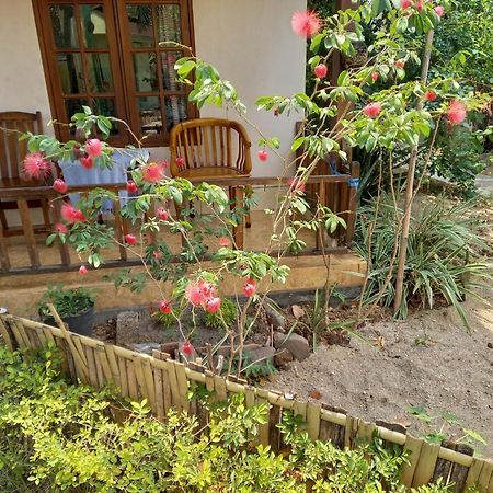 Arnel Bungalows Senggigi Exterior photo